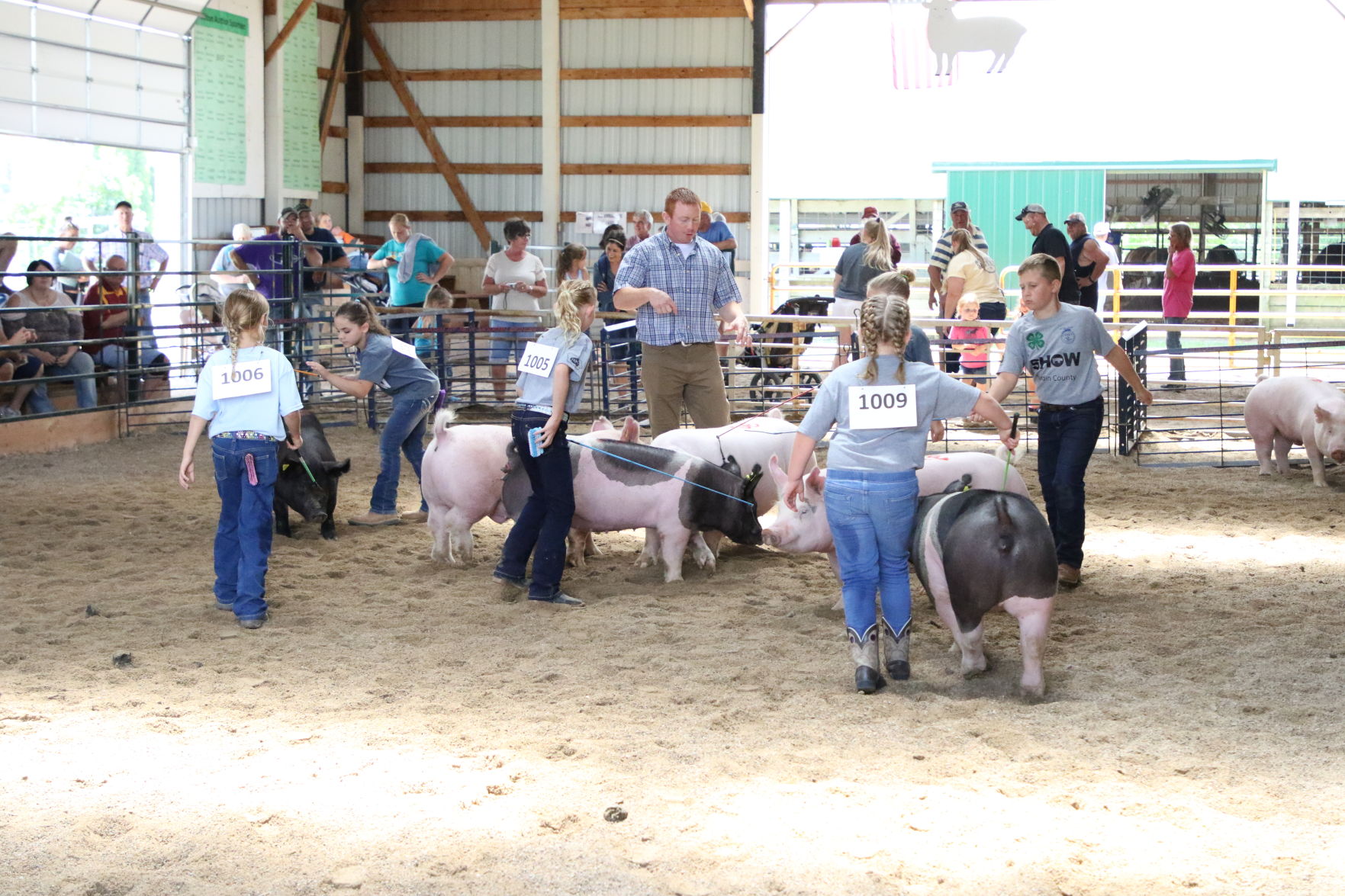 Pig Show (2).JPG
